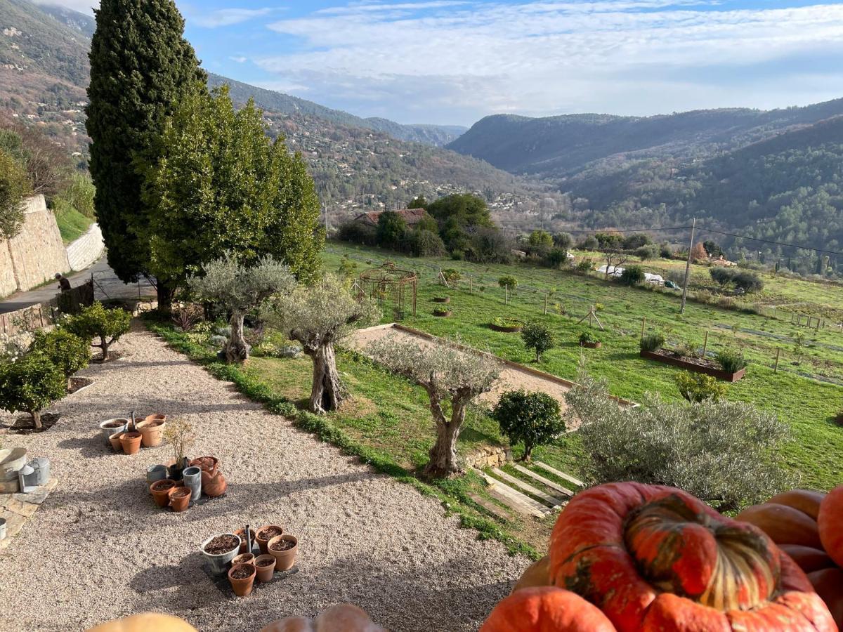 Hotel Particulier Des Jasmins Le Bar-sur-Loup Экстерьер фото