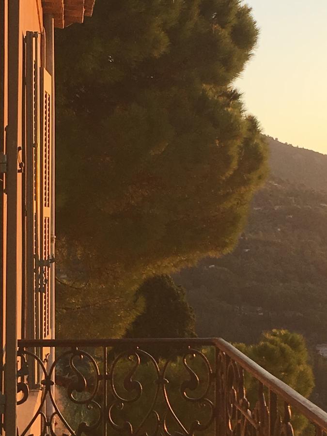 Hotel Particulier Des Jasmins Le Bar-sur-Loup Экстерьер фото