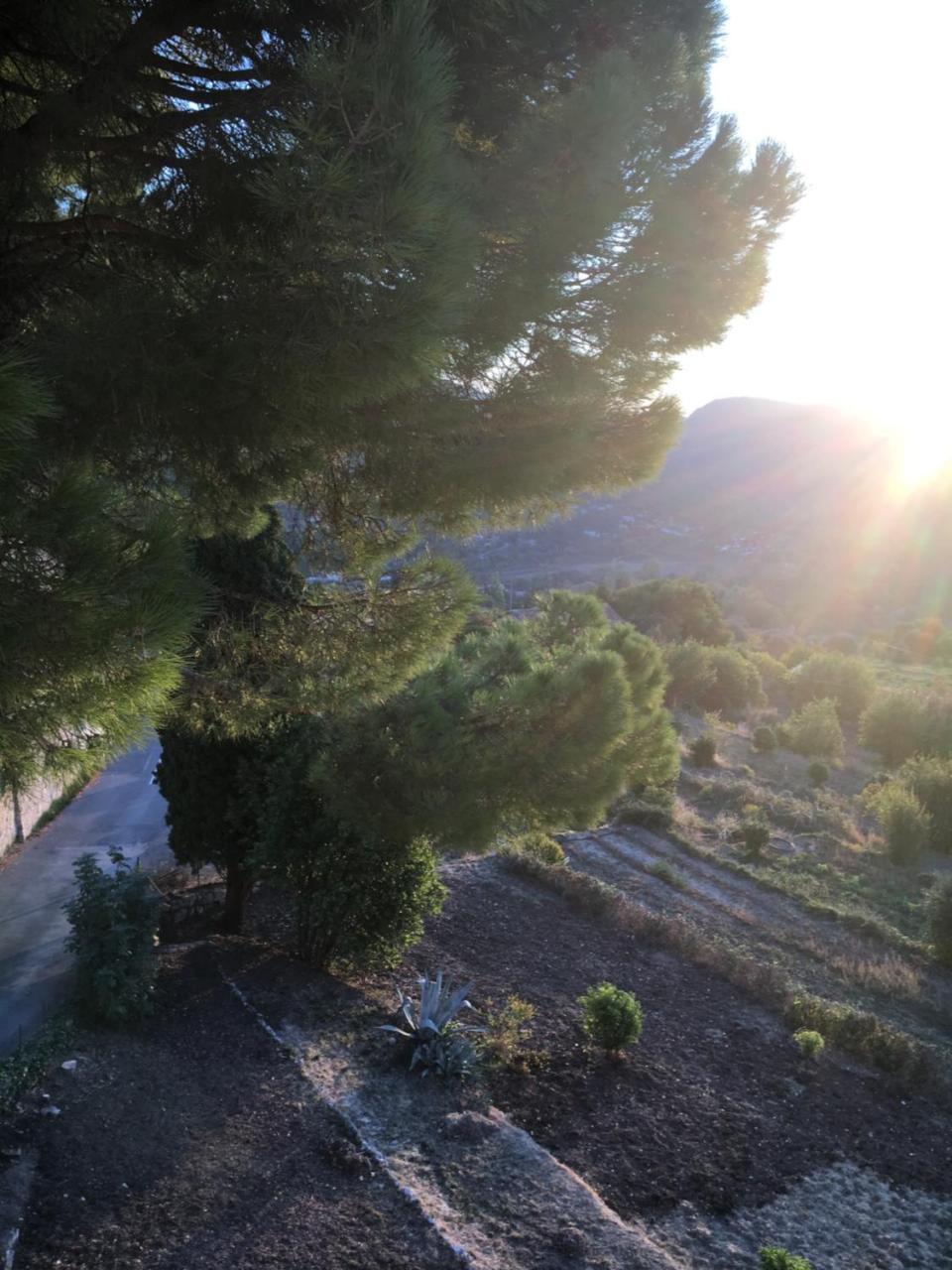 Hotel Particulier Des Jasmins Le Bar-sur-Loup Экстерьер фото